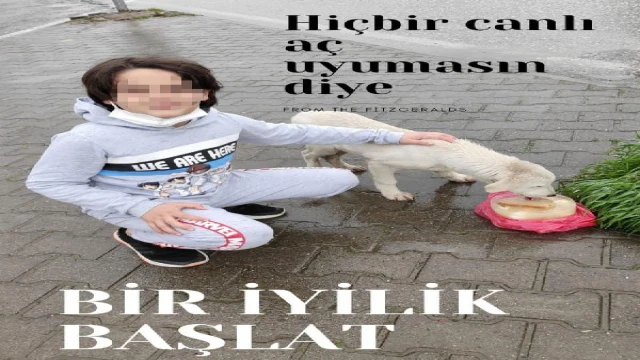 8 köpeğin saldırısında yaralanan Ömer Efe, sokak hayvanları projesinde görev almış