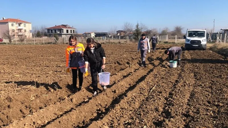 Lüleburgaz'da tarladan sofraya iyilik!