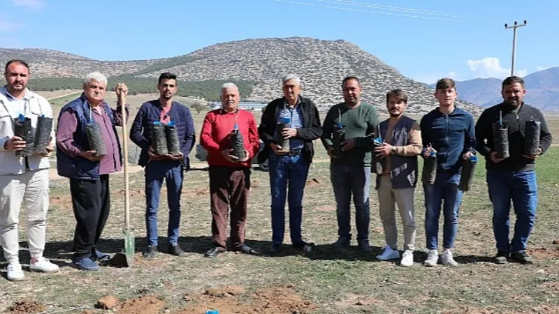 Korkuteli'de antepfıstığı yetiştiriciliği yapılacak