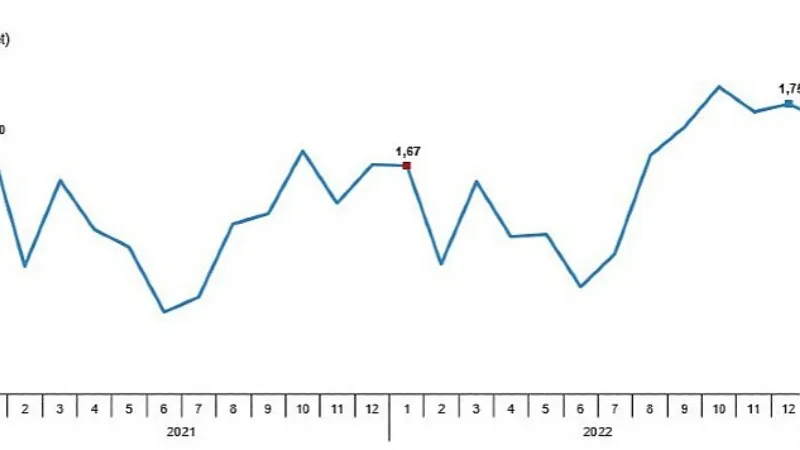 TÜİK: Tavuk eti üretimi 191 bin 807 ton, tavuk yumurtası üretimi 1,73 milyar adet olarak gerçekleşti