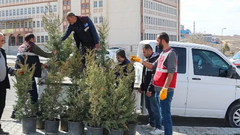 Van'da Depremde Hayatını Kaybeden Sağlıkçılar İçin Fidan Dikildi