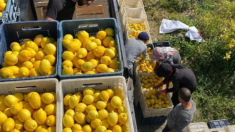 ŞOK Marketler deprem bölgesinde tarımı ve çiftçiyi destekliyor