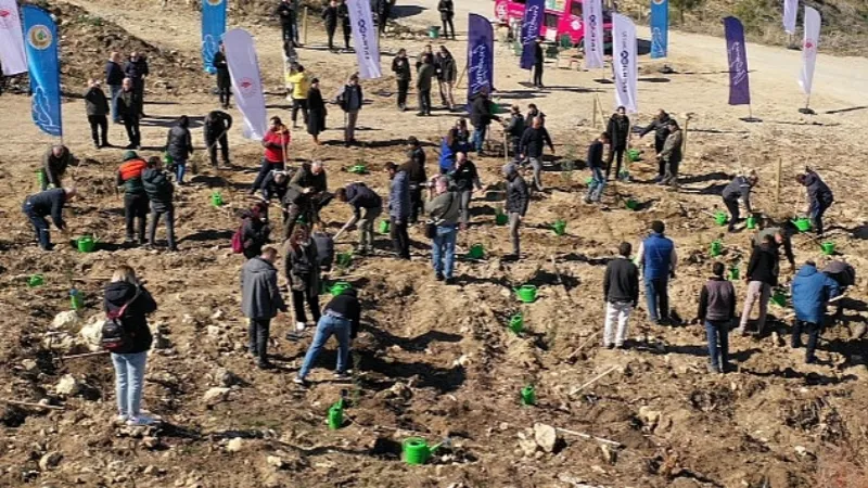 Enerjisa Üretim, 18 Mart Çanakkale Zaferi ve Şehitleri Anma Günü Dolasıyla Fidan Dikimi Gerçekleştirdi