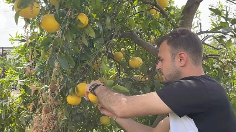 Küçükçekmece Belediyesi'nden Hatay'daki Üreticilere Destek!