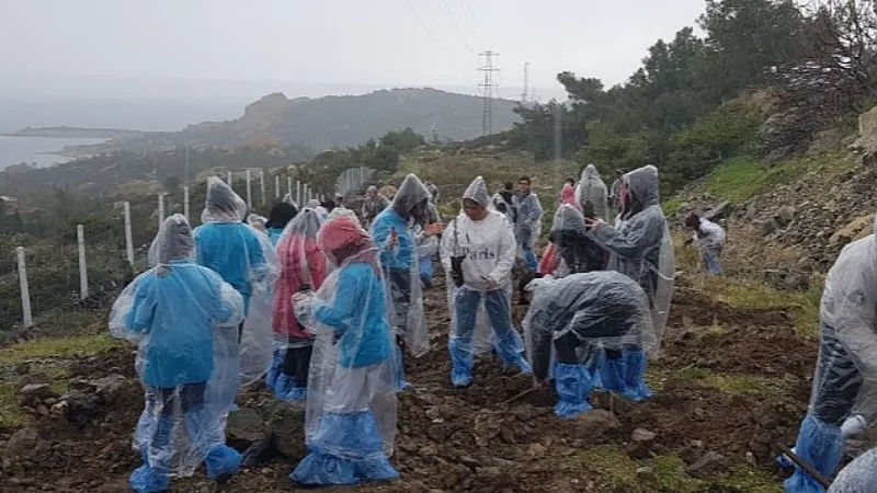 Foça'da Orman Haftası Kutlama ve Fidan Dikim  Etkinliği