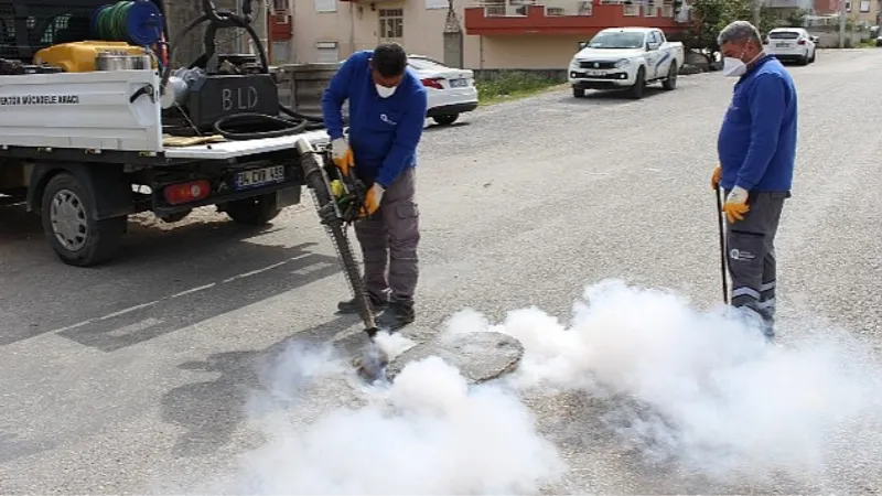 Sineksiz yaz için yoğun mücadele