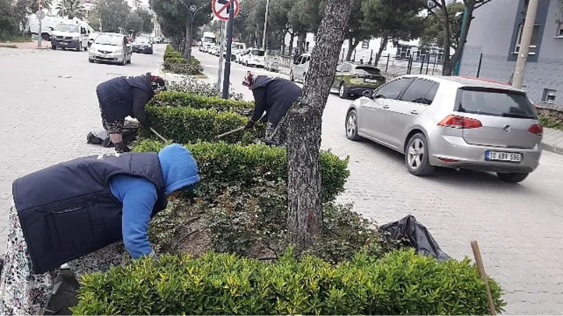 Burhaniye'de yabani ot temizliği çalışmaları başladı