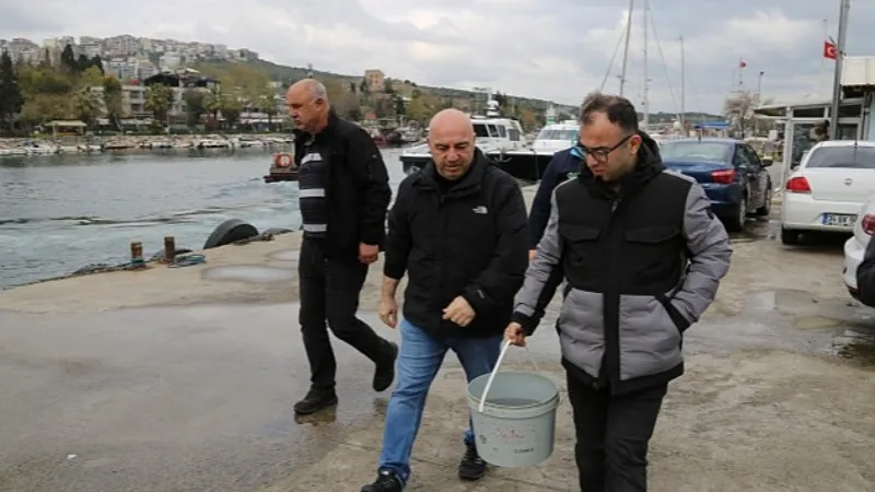 Gebzeli balıkçıların ağına takılan kalkan balığı tekrar denize salındı