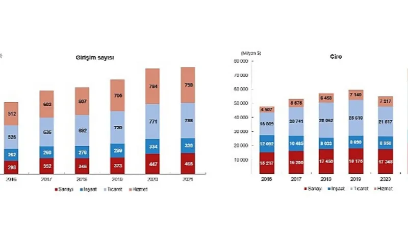 TÜİK: Yurt Dışında Kontrol Edilen Girişim İstatistikleri, 2021