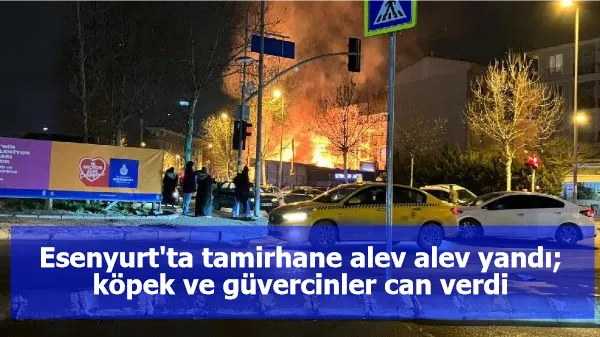 Esenyurt'ta tamirhane alev alev yandı; köpek ve güvercinler can verdi