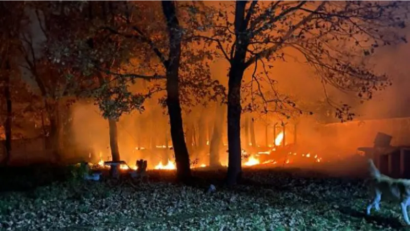 Çiftlikteki anız yangını ağaçlara sıçradı