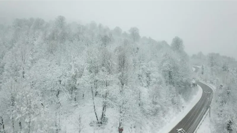 Kocaeli ve Sakarya’da kar yağışı