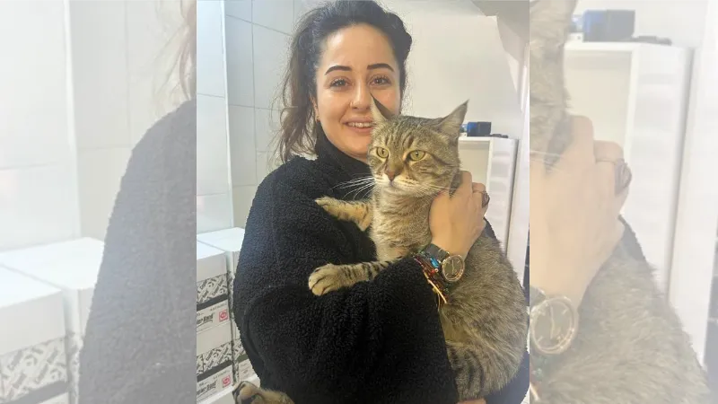 Kedi, asma tavanı çökertti; iş yeri sahibi, ‘diyeti bozmuş’ dedi
