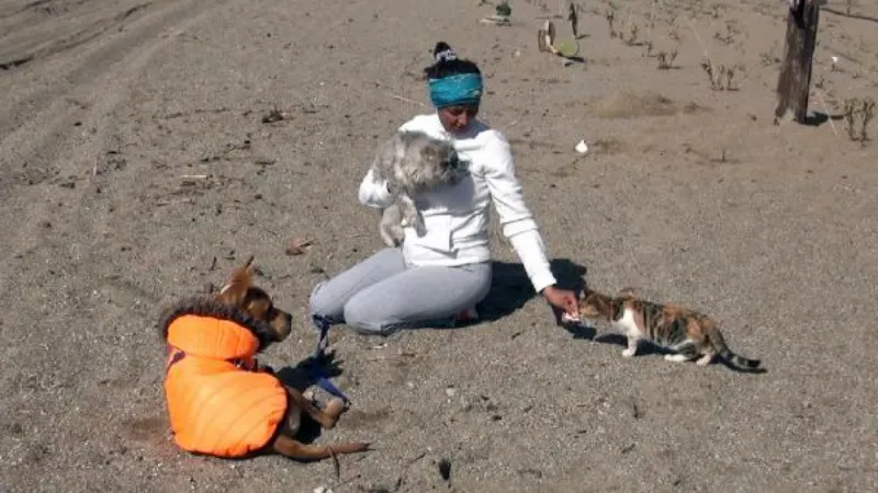 Depremzede kedi 'Anka'nın kader arkadaşı, afetzede köpek 'Deka'