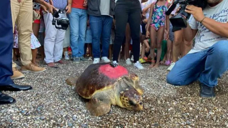 Kıbrıs Barış Harekatı'nın yıl dönümünde denize bırakıldı, 2 bin 500 kilometre yol katetti