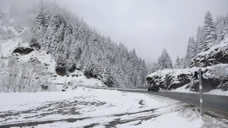 Zigana Dağı'nda kar güzelliği