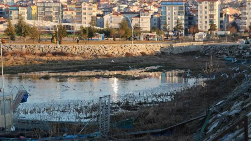 Beyşehir Gölü'nde kuraklığın ardından 'otlanma' tehlikesi