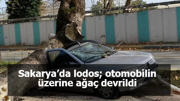 Sakarya’da lodos; otomobilin üzerine ağaç devrildi
