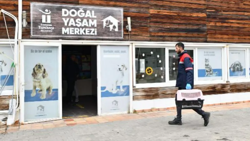 Eskişehir'de çuvalda bulunan yavru köpekler korumaya alındı