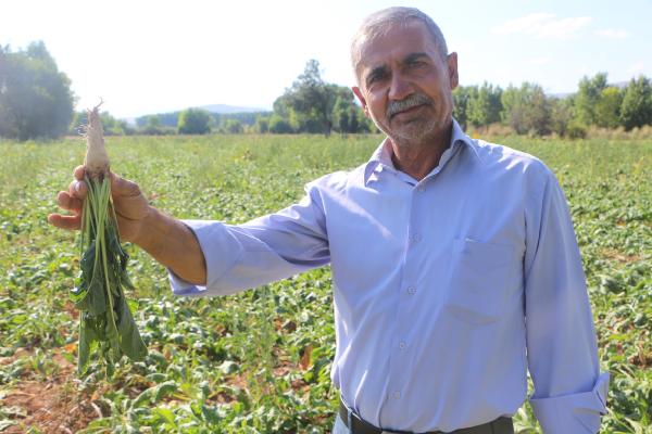 Tokat'ta, 40 bin dönüm ekili arazinin sulama sorunu