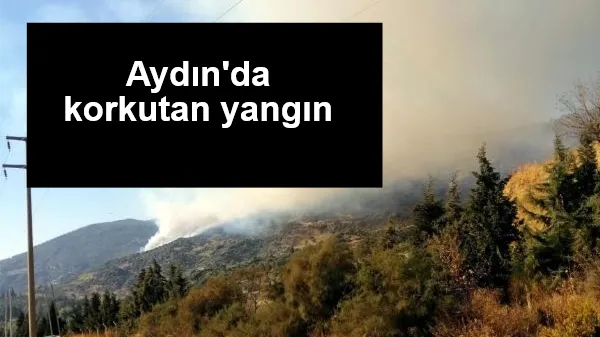 Aydın'da korkutan yangın