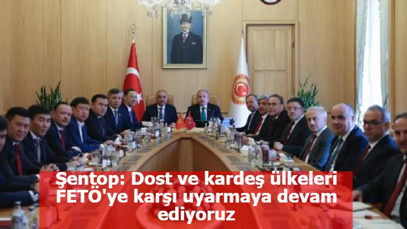 Şentop: Dost ve kardeş ülkeleri FETÖ'ye karşı uyarmaya devam ediyoruz