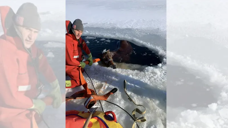 ABD’de buzun kırılmasıyla donmuş göle düşen at saatler içinde kurtarıldı