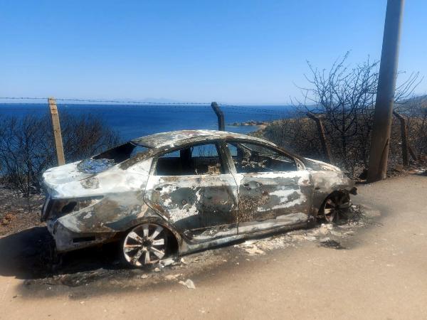 İzmir Seferihisar'da orman yangını