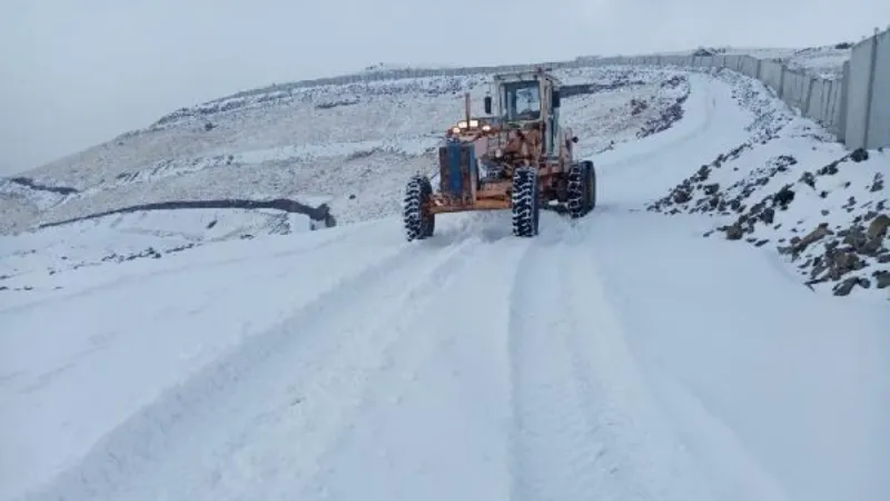 Van'ın Saray ilçesinde kar etkili oldu