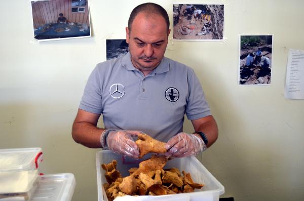 Bathonea'da bir keşif daha