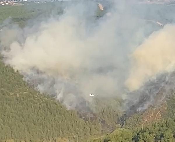 Susurluk'ta orman yangını