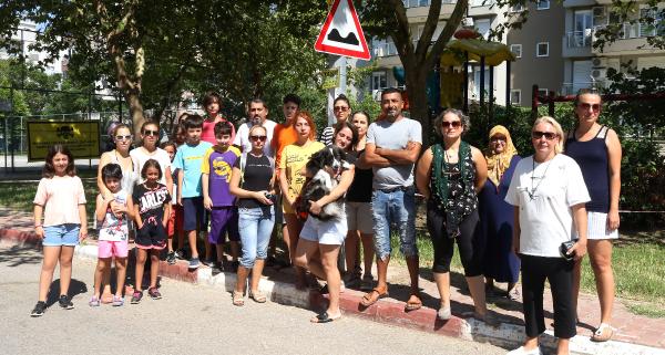 Mahalleli, Antalya'daki köpek ölümlerine çare arıyor