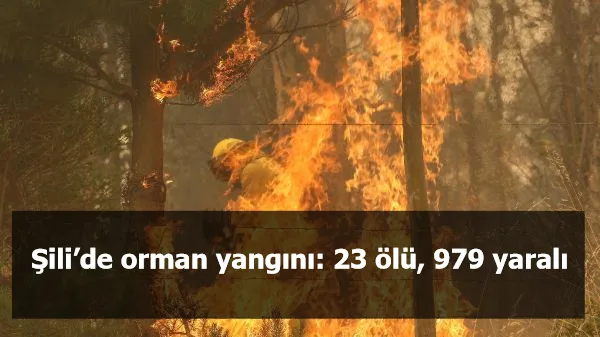 Şili’de orman yangını: 23 ölü, 979 yaralı