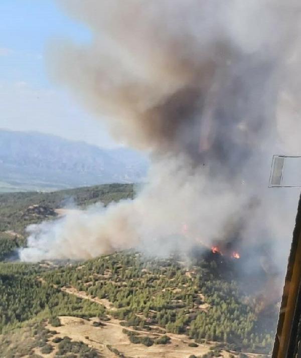 Aydın'daki orman yangınında 30 hektarlık alan zarar gördü