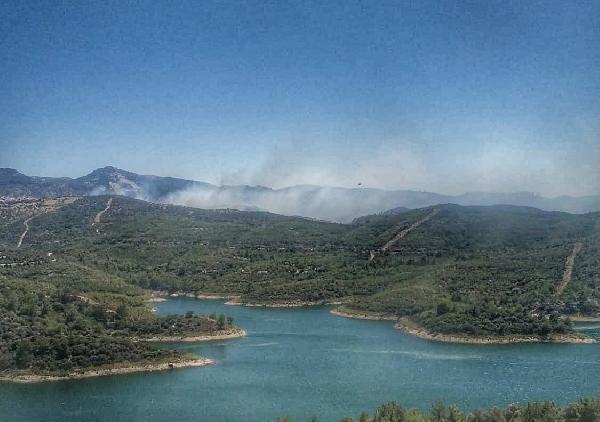 İzmir Seferihisar’da orman yangını