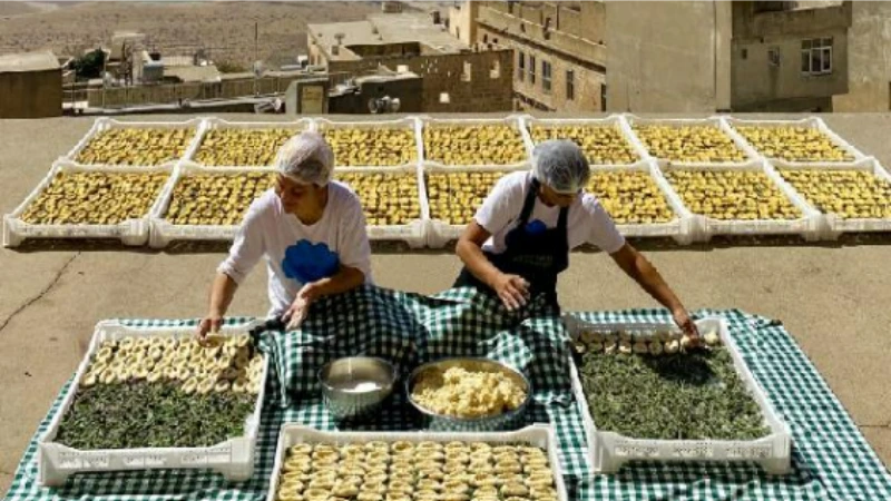 TBMM Dilekçe Komisyonu, Mardin'de Topraktan Tabağa Tarımsal Kalkınma Kooperatifi'ni inceledi