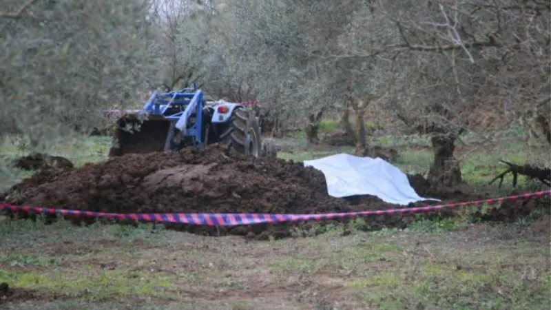 Zeytinliğe getirilen gübrenin içinden ceset çıktı