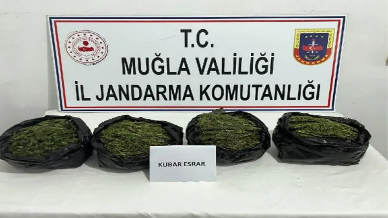 Muğla'da uyuşturucu operasyonu: 2 gözaltı