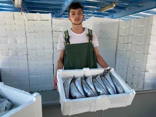 Zonguldak açıklarında palamut bolluğu