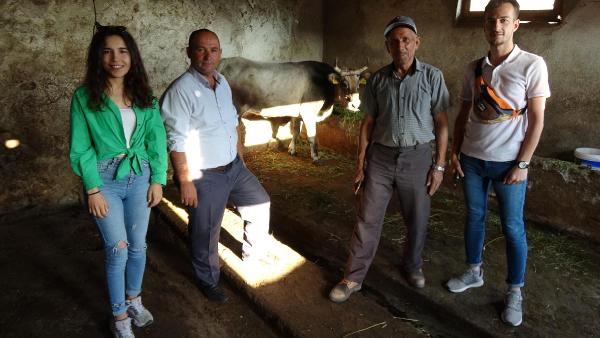 Ahbap, kesimden kaçıp 25 gün sonra yakalanan kurbanlığı satın aldı