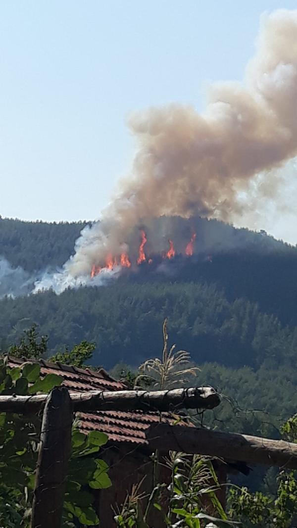 Burdur'da orman yangını