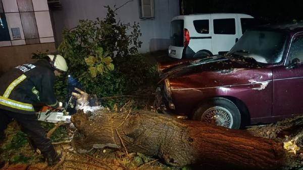 Yalova'da sağanak ve fırtına hayatı olumsuz etkiledi