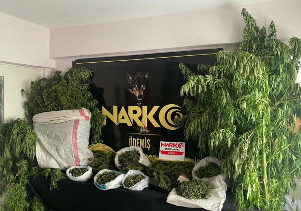 İzmir'de 9,5 kilo esrara 1 gözaltı