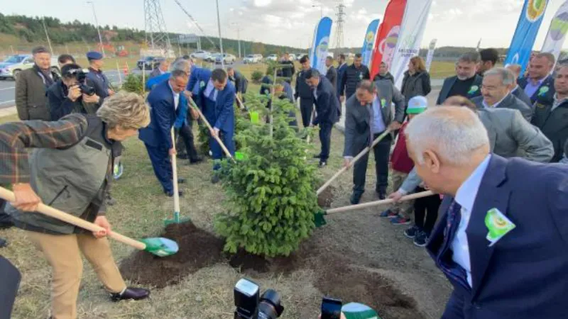 Kuzey Marmara Otoyolu, 5 bin fidanı toprakla buluşturdu