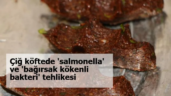 Çiğ köftede 'salmonella' ve 'bağırsak kökenli bakteri' tehlikesi