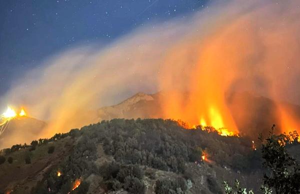 Tunceli'de Munzur Vadisi Milli Parkı’nda orman yangını