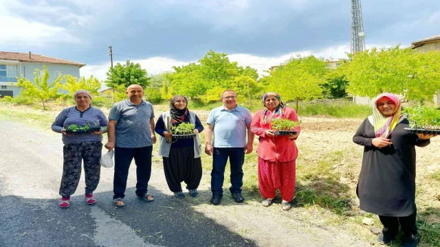Akçadağ’da 100 bin sebze fidesi dağıtıldı