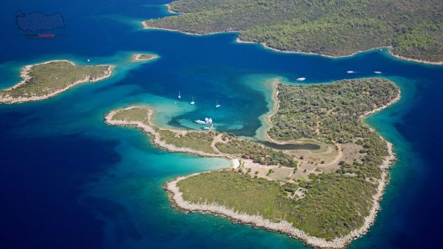 Akdeniz ve Ege’de büyük tehlike! Tahribat yüzde 90’a ulaştı
