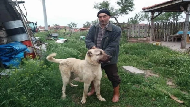 Arazi kavgasında baba yaralandı, oğlu hayatını kaybetti