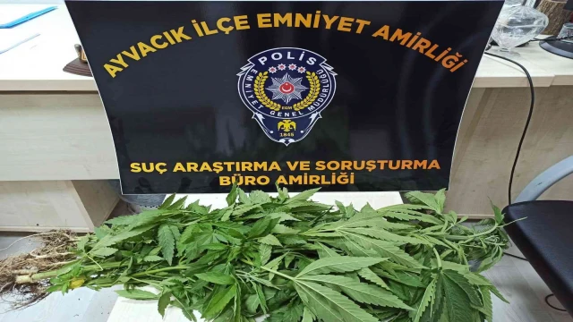 Ayvacık’ta uyuşturucu operasyonunda 1 kişi tutuklandı